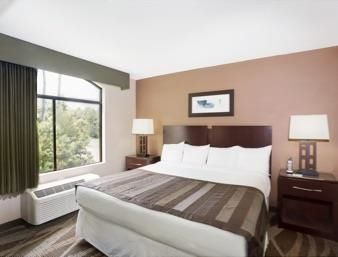 Hotel Wingate By Wyndham Raleigh / Airport Durham